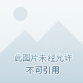 【球盟会】官宣：宝可梦系列动漫主角即将更换，小智与皮卡丘的故事将完结！