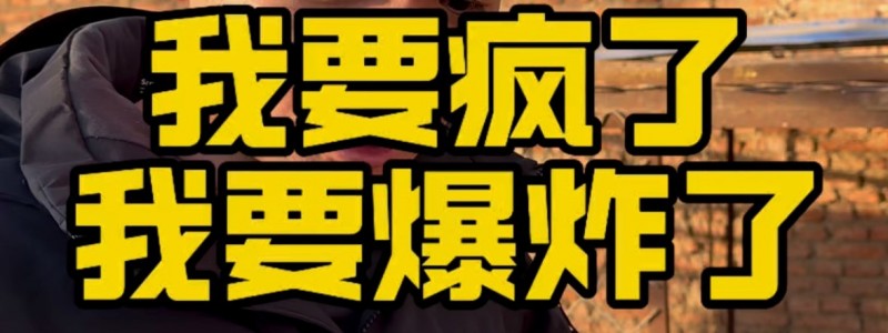 潘宏园区的"恩怨情仇"，有时候该去园区面试的不仅仅是"恶犬"